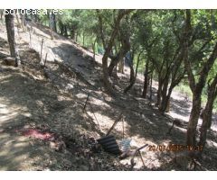 Casa de campo-Masía en Venta en Jubrique Málaga 
