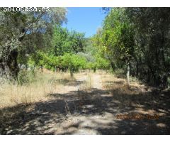 Casa de campo-Masía en Venta en Jubrique Málaga 
