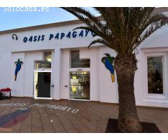 Piso en venta cerca del mar en Corralejo, Fuerteventura. aDescubre tu oasis islen;o hoy mismo!