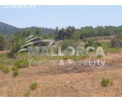 Rural building plot with project - Felanitx - Southeast Mallorca