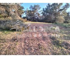 Rural building plot with project - Felanitx - Southeast Mallorca