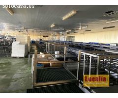 Fábrica de conservas de alimentos en Cantabria