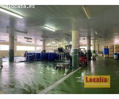 Fábrica de conservas de alimentos en Cantabria
