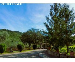 MASIA EN MAS ARTIGUES