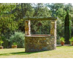 MASIA EN MAS ARTIGUES