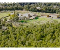 MASIA EN MAS ARTIGUES