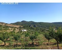 Suelo rústico en Venta en Casares Málaga 