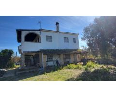 Magnífica Finca en Pilas con bodega de vino mosto del Aljarafe!!!!