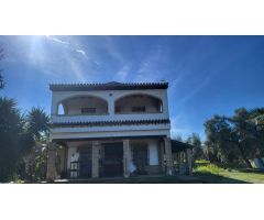 Magnífica Finca en Pilas con bodega de vino mosto del Aljarafe!!!!