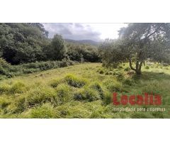 Extenso suelo urbano Limpias, Cantabria