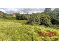 Extenso suelo urbano Limpias, Cantabria