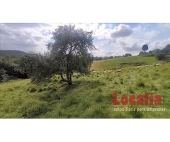 Extenso suelo urbano Limpias, Cantabria