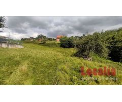 Extenso suelo urbano Limpias, Cantabria