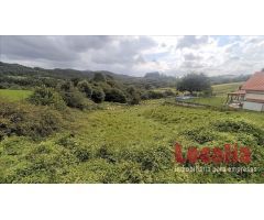 Extenso suelo urbano Limpias, Cantabria