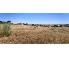 Finca rústica de 2,6 hectáreas junto a la A5