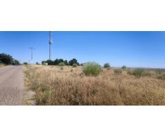 Finca rústica de 2,6 hectáreas junto a la A5
