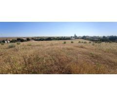 Finca rústica de 2,6 hectáreas junto a la A5