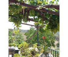 Fantástico Cortijo en Finca  Rustica con licencia de Turismo Rural!!