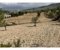 Parcela de 11000 metros