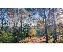 TERRENO EDIFICABLE EN COLLSEROLA, A 15MN DE BARCELONA