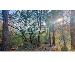 TERRENO EDIFICABLE EN COLLSEROLA, A 15MN DE BARCELONA
