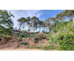 TERRENO EDIFICABLE EN COLLSEROLA, A 15MN DE BARCELONA