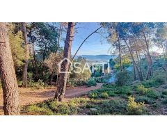 TERRENO EDIFICABLE EN COLLSEROLA, A 15MN DE BARCELONA