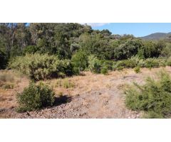Casa de campo-Masía en Venta en Benarraba Málaga 