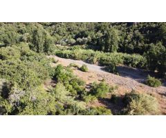 Casa de campo-Masía en Venta en Benarraba Málaga 