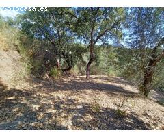 Casa de campo-Masía en Venta en Benarraba Málaga 
