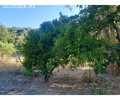 Casa de campo-Masía en Venta en Benarraba Málaga 