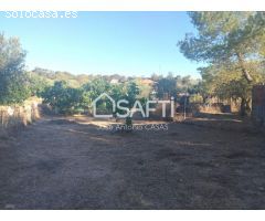 Venta de dos Lejíos juntos en la zona de la Zafrilla EL Ejido. Suman 3250m2 con casa y piscina. Exce