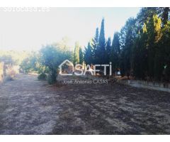 Venta de dos Lejíos juntos en la zona de la Zafrilla EL Ejido. Suman 3250m2 con casa y piscina. Exce