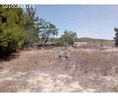 Casa de campo-Masía en Venta en Monovar-Monover Alicante 