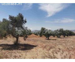 Suelo urbanizable en Venta en Biar Alicante 