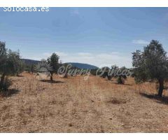 Suelo urbanizable en Venta en Biar Alicante 