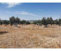 Suelo urbanizable en Venta en Biar Alicante 