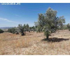 Suelo urbanizable en Venta en Biar Alicante 
