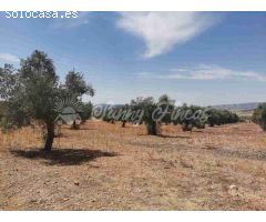 Suelo urbanizable en Venta en Biar Alicante 