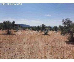 Suelo urbanizable en Venta en Biar Alicante 