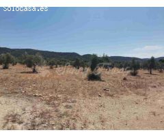 Suelo urbanizable en Venta en Biar Alicante 