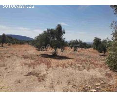 Suelo urbanizable en Venta en Biar Alicante 