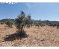 Suelo urbanizable en Venta en Biar Alicante 