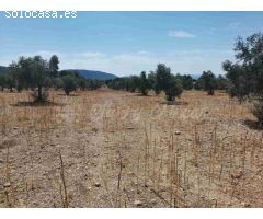 Suelo urbanizable en Venta en Biar Alicante 