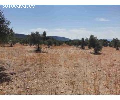 Suelo urbanizable en Venta en Biar Alicante 