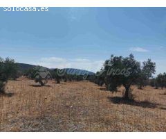 Suelo urbanizable en Venta en Biar Alicante 