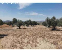 Suelo urbanizable en Venta en Biar Alicante 