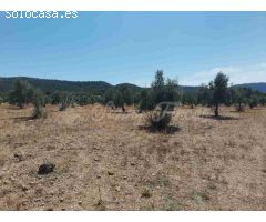 Suelo urbanizable en Venta en Biar Alicante 