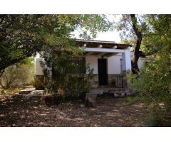 MAGNÍFICA PARCELA URBANA CON CHALET INDEPENDIENTE