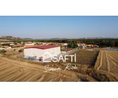 ESTUPENDO LOTE RESIDENCIAL EN PESQUERA DE DUERO